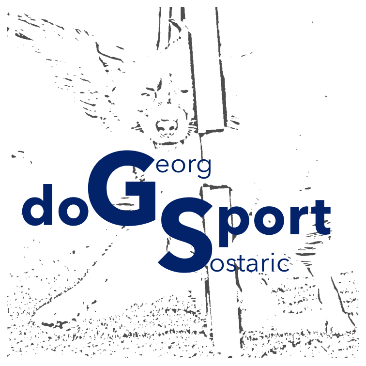 Georg Sostaric doGSport
