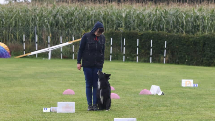 Hund und Mensch arbeiten gemeinsam auf einem Rally-Obedience-Parcours mit Schildern