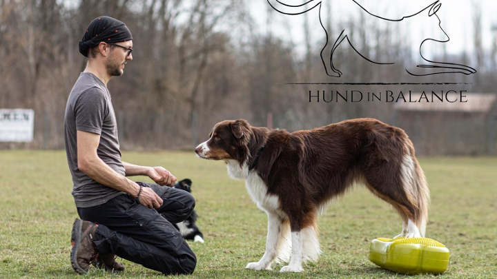 Hund steht auf Balancekissen im Freien, Mensch kniet davor und trainiert achtsam mit ihm
