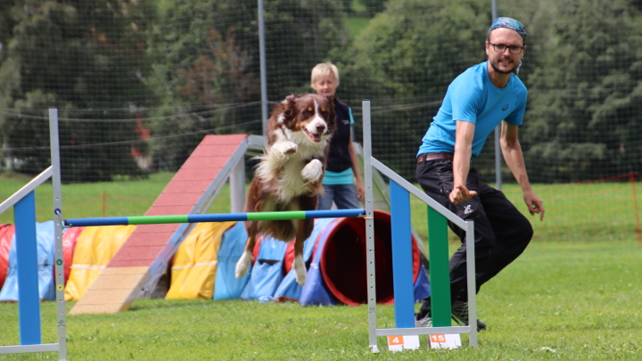 Hund springt über Agility-Hürde, Hundeführer leitet ihn durch den Parcours, Tunnel und Rampe im Hintergrund