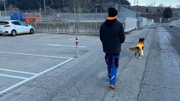 Ein Mensch führt einen Hund mit orangefarbener Jacke am Parkplatzrand entlang, im Hintergrund ein weiterer Hund.