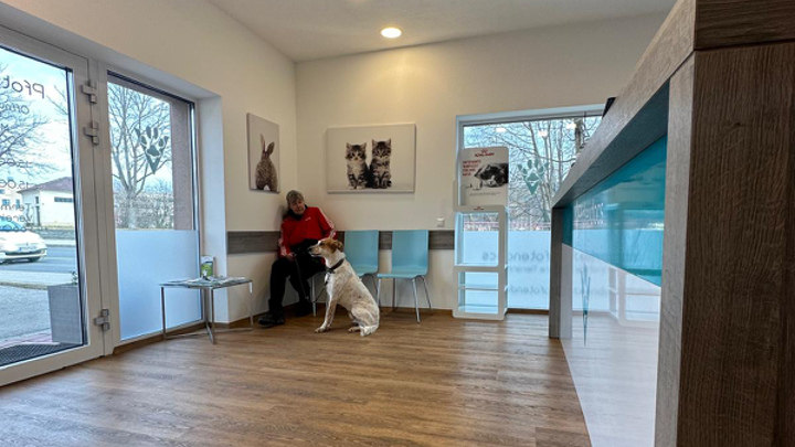 Hund sitzt neben einer Frau im Wartebereich einer tierfreundlichen Einrichtung.