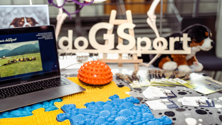 Messestand mit Laptop, Hundesport-Flyern und Equipment von doGSport