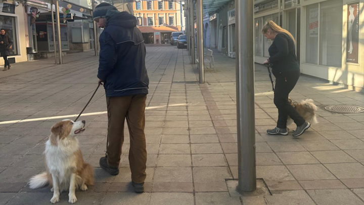Zwei Personen mit Hunden an der Leine in einer ruhigen Innenstadt mit Abstand zueinander.