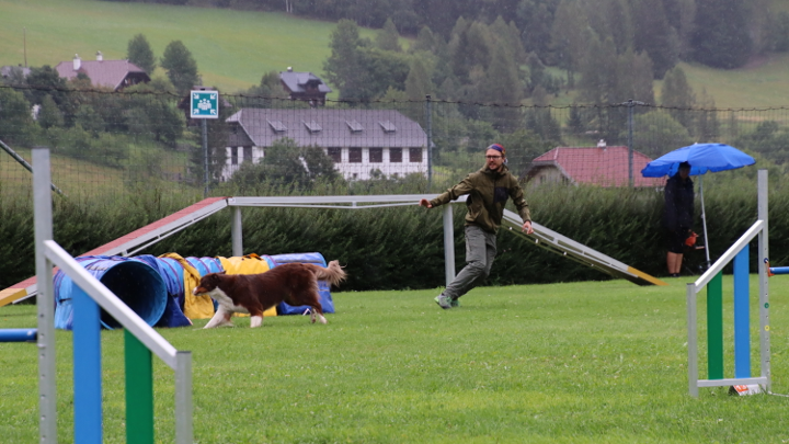 Hund läuft in Agility-Tunnel, Hundeführer zeigt die Richtung – Training im Regen