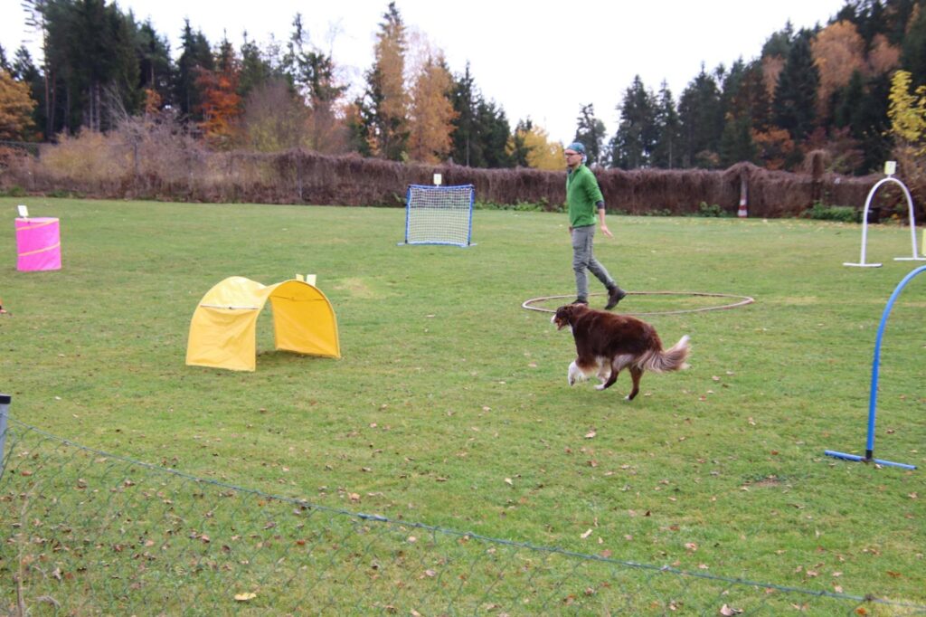 WhatsApp Image 2025-11-03 at 15.42.51 (1)